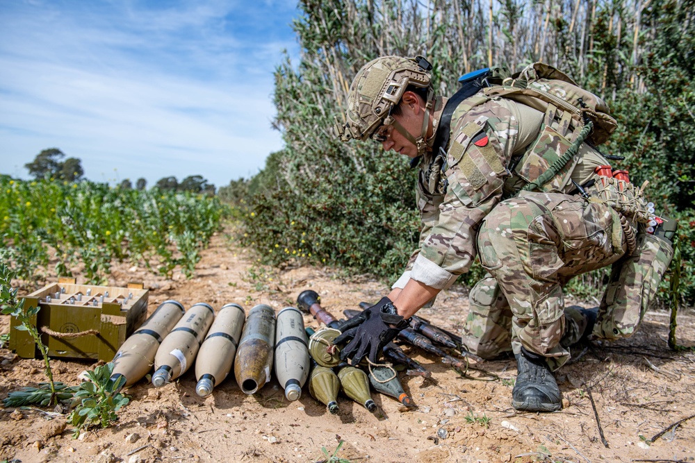 Explosive ordnance technicians conduct a simulated demolition shot, as part of surface cache prosecution training