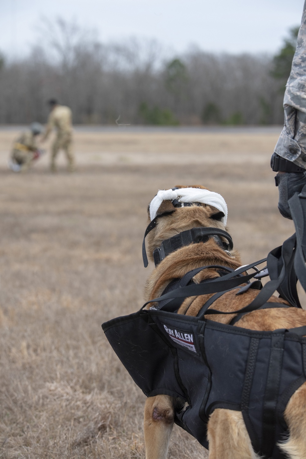 Arkansas National Guard