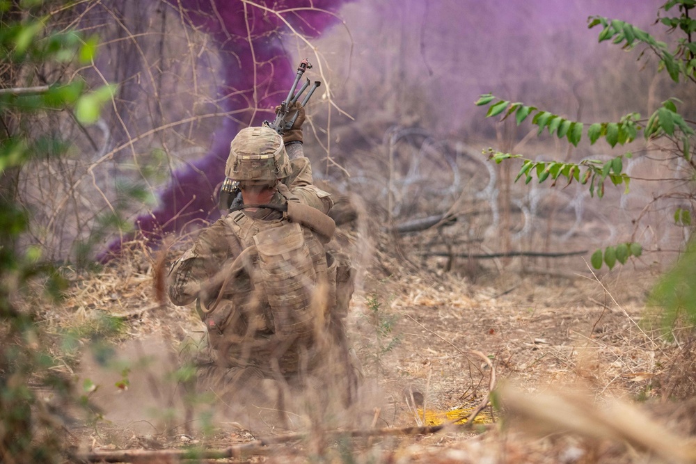 Cobra Gold 20: A Co Platoon LFX