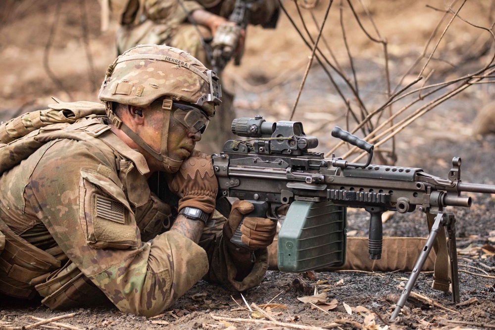 Cobra Gold 20: A Co Platoon LFX