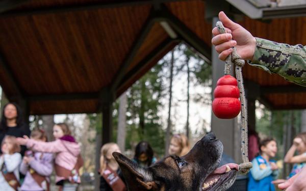 NBK Military Working Dogs show off for local Girl Scouts