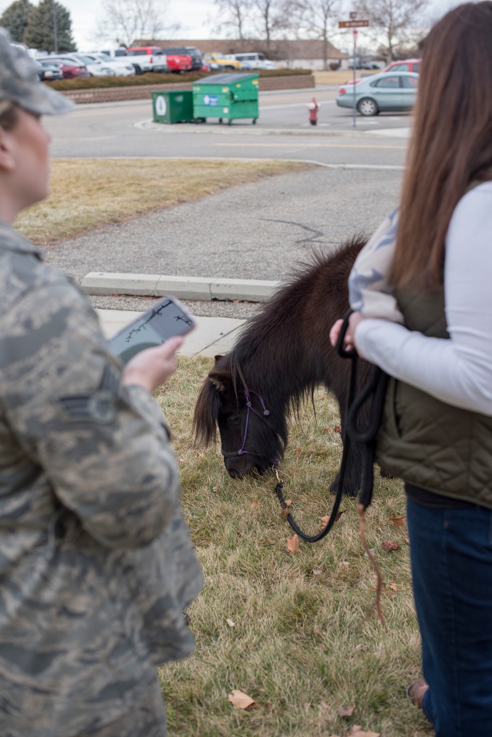Say Neigh to Depression Say Neigh to Depression