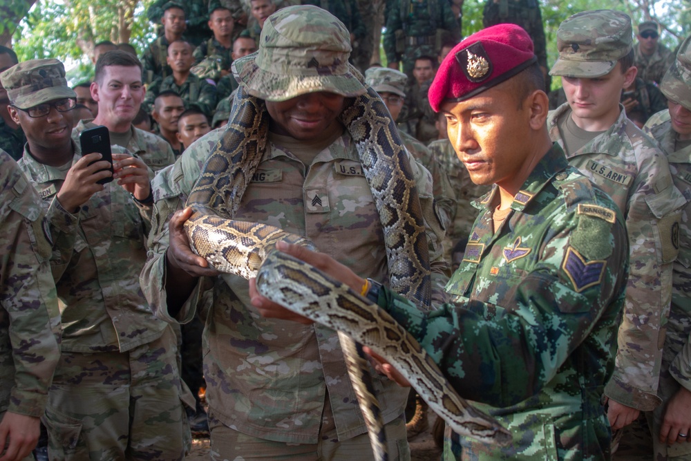 HG20 Snake Familiarization