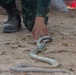 HG20 Snake Familiarization