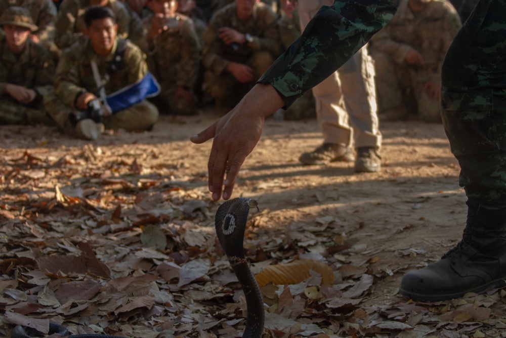 HG20 Snake Familiarization