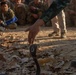 HG20 Snake Familiarization