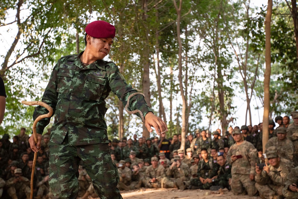 Hanuman Guardian 20: Jungle Training