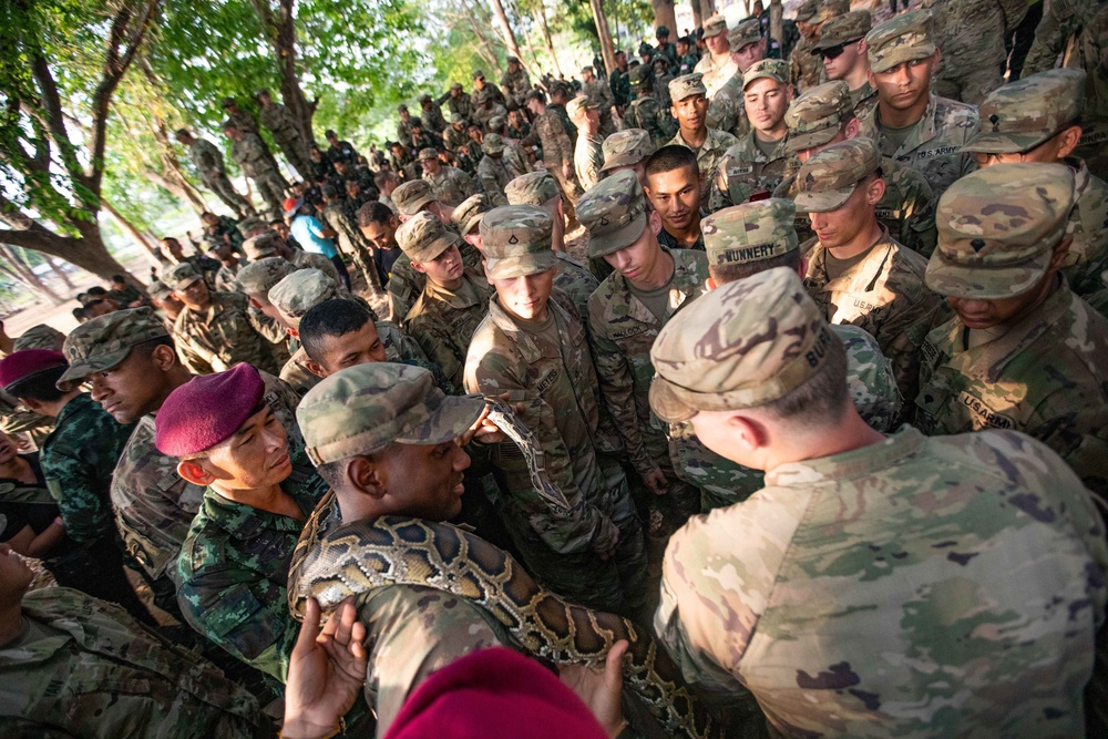 Hanuman Guardian 20: Jungle Training