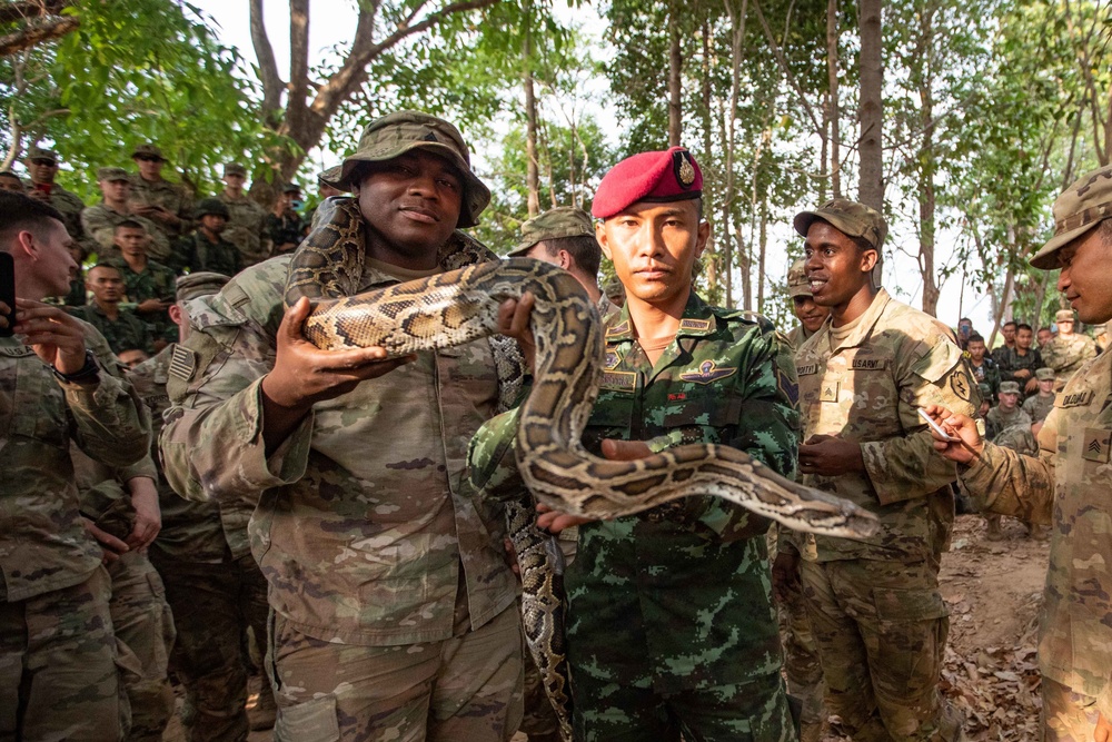 Hanuman Guardian 20: Jungle Training