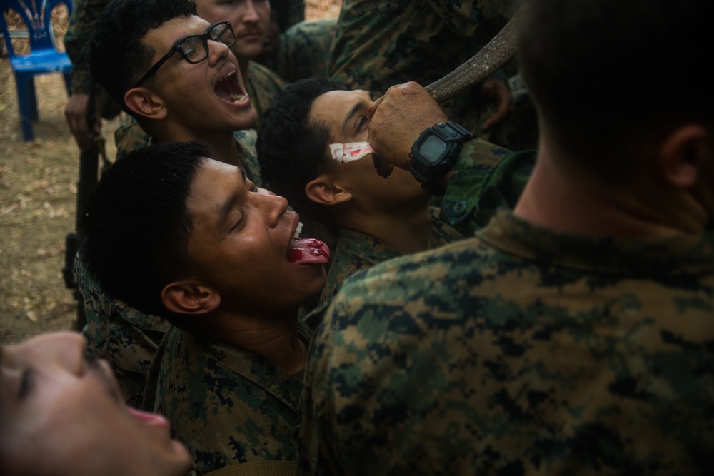 Cobra Gold 20: 31st Meu Marines, Royal Thai Marines conduct bilateral jungle survival training