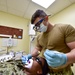 NMCB-5's Medical Department supporting their Seabees