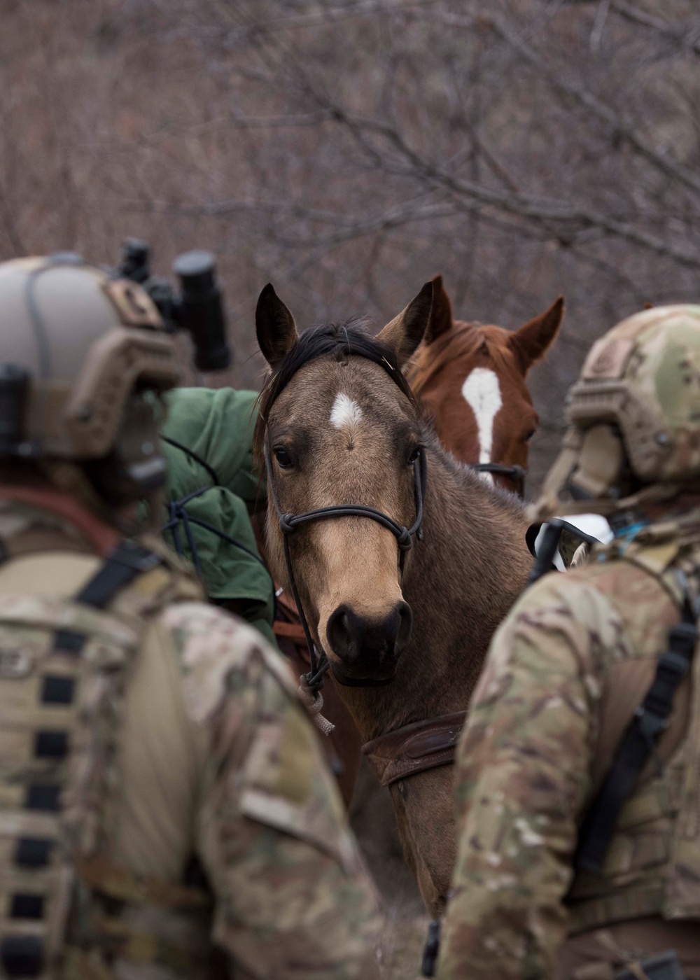 Joining Forces in Emmett, Idaho