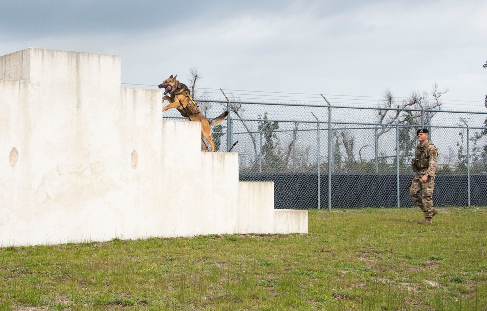 K-9 Veterans Day celebrated at Tyndall AFB