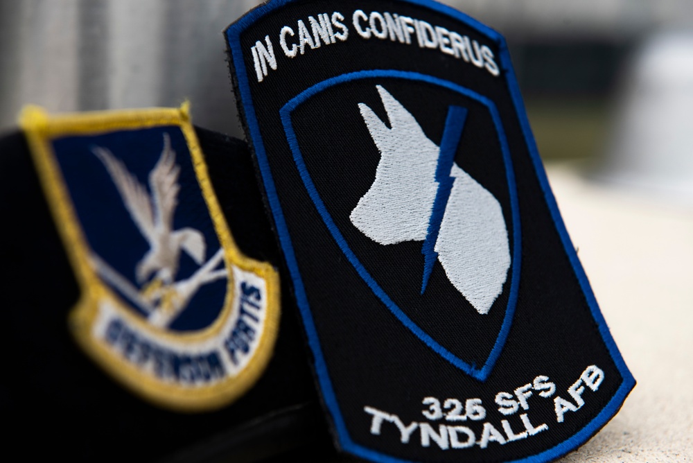 K-9 Veterans Day celebrated at Tyndall AFB