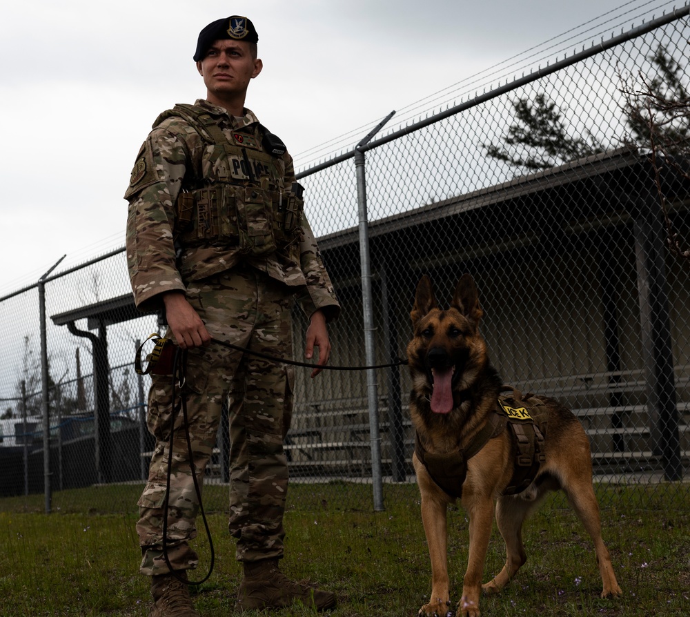 K-9 Veterans Day celebrated at Tyndall AFB