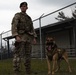 K-9 Veterans Day celebrated at Tyndall AFB
