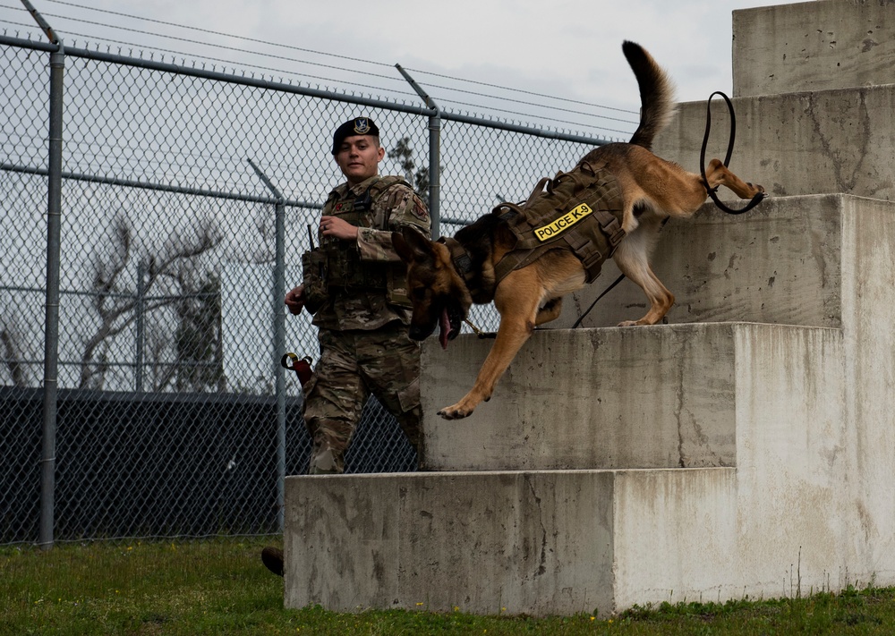 K-9 Veterans Day celebrated at Tyndall AFB