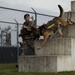 K-9 Veterans Day celebrated at Tyndall AFB