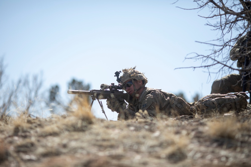 1SBCT, 4ID trains during Grand Staff Slash to build readiness