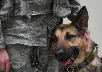 Handlers form bonds with military working dogs