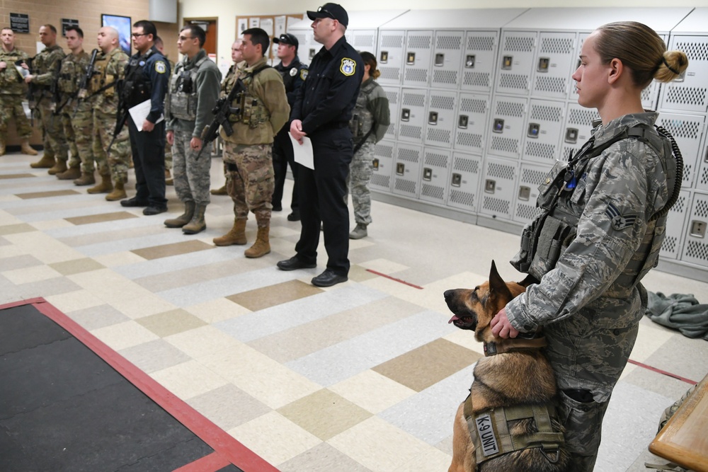 Handlers form bonds with military working dogs
