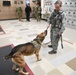 Handlers form bonds with military working dogs