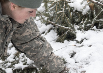 Alaska State Defense Force practices security patrols for Arctic Eagle 2020