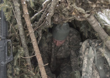 Alaska State Defense Force practices security patrols for Arctic Eagle 2020