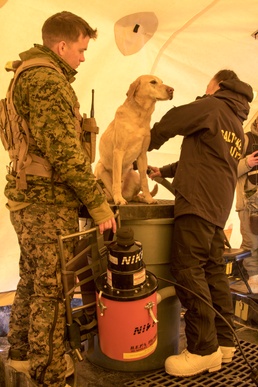 Search and extraction teams practice decontamination procedures in Arctic Eagle 2020