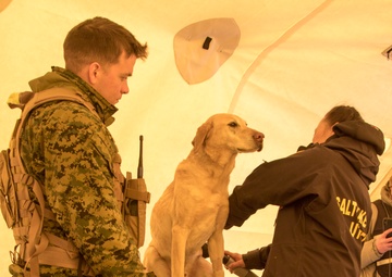 Alaska National Guard’s exercise Arctic Eagle 2020 wraps up