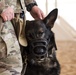 K-9s perform bite work with ASAB Airmen