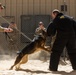 K-9s perform bite work with ASAB Airmen