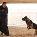 K-9s perform bite work with ASAB Airmen