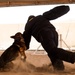 K-9s perform bite work with ASAB Airmen