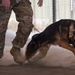 K-9s perform bite work with ASAB Airmen