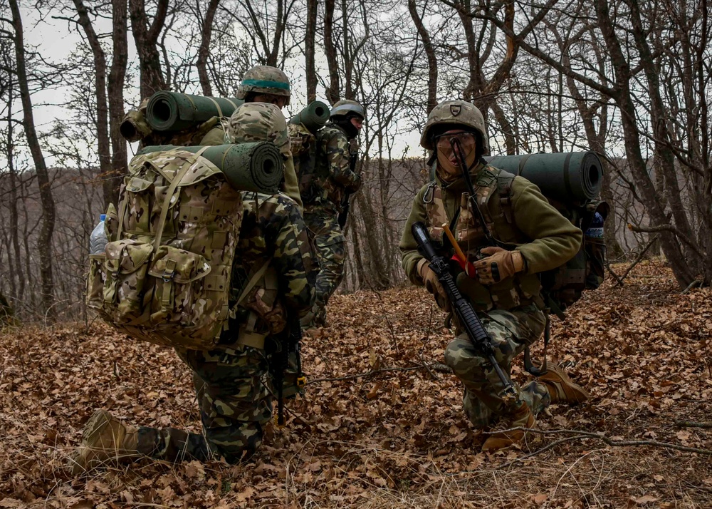 Georgian Defense Readiness Program- Training