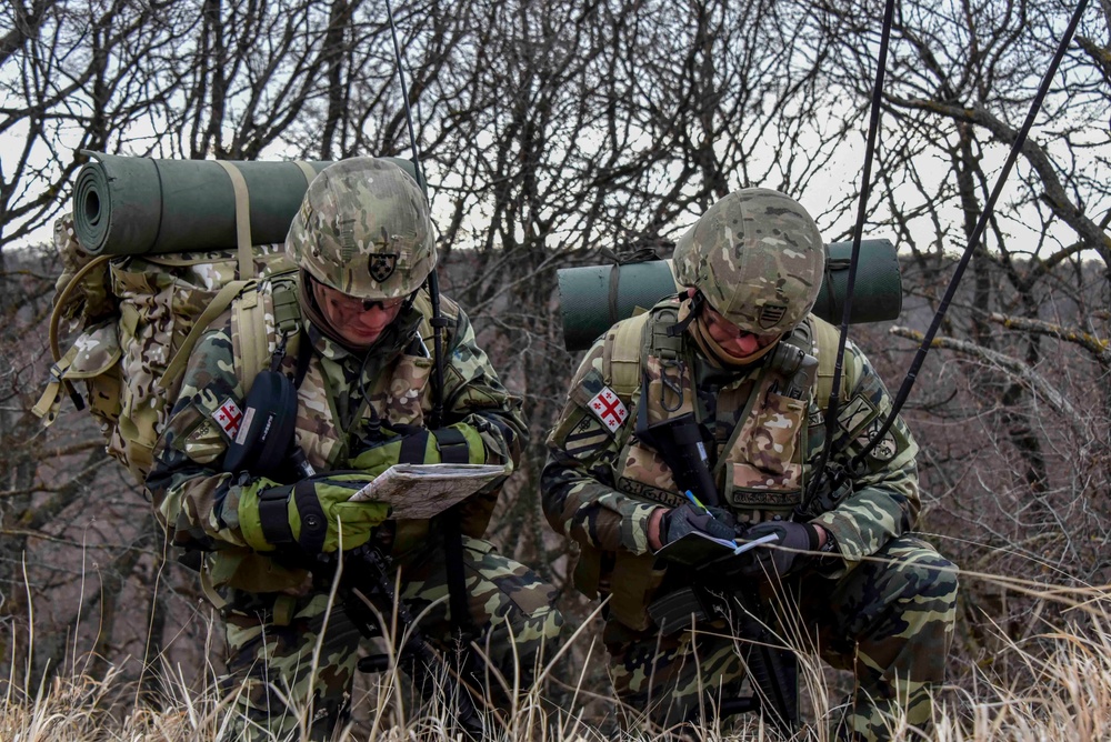 Georgian Defense Readiness Program- Training