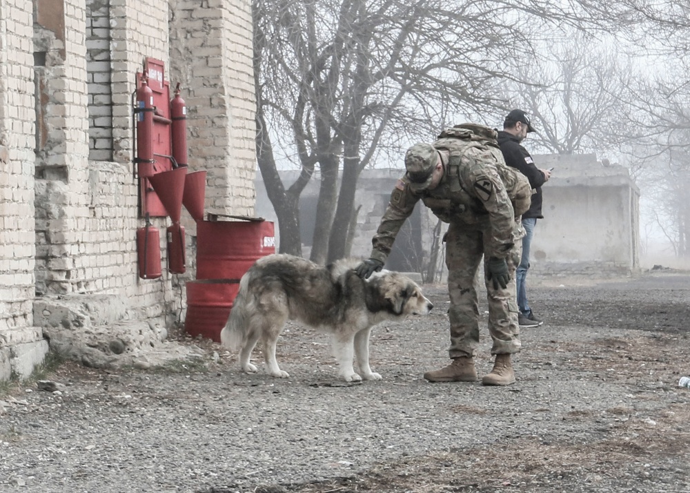 Georgian Defense Readiness Program- Training