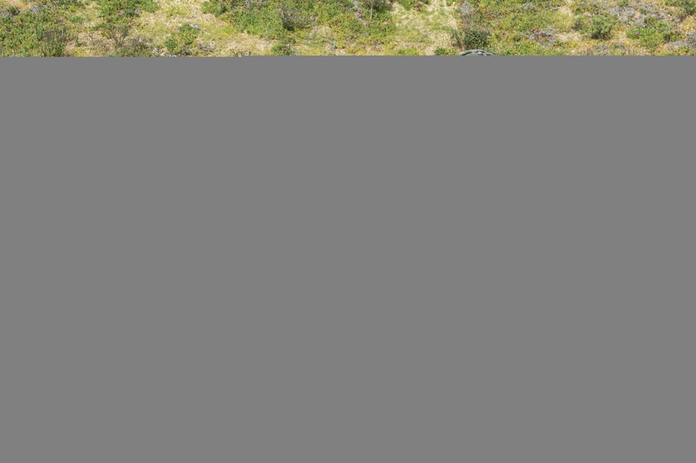 U.S. Marines Conduct Interior Tactics Training