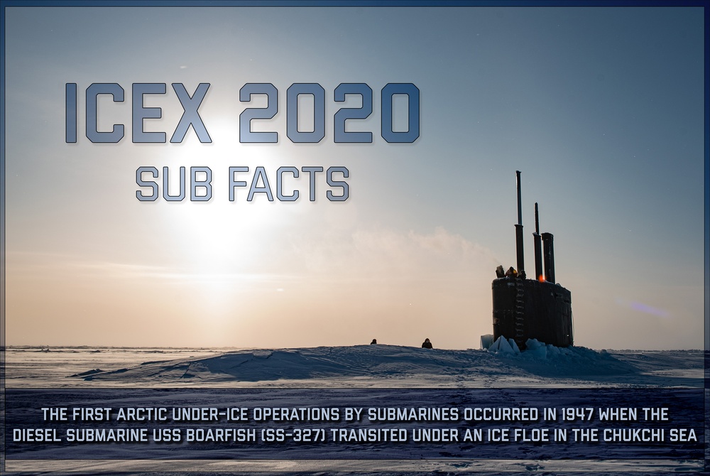 ICEX 2020 Sub Facts