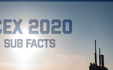 ICEX 2020 Sub Facts