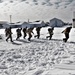 Fort McCoy Cold-Weather Operations Course Class 20-04 graduates 40 Airmen, Soldiers, Marines
