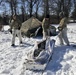 Fort McCoy Cold-Weather Operations Course Class 20-04 graduates 40 Airmen, Soldiers, Marines