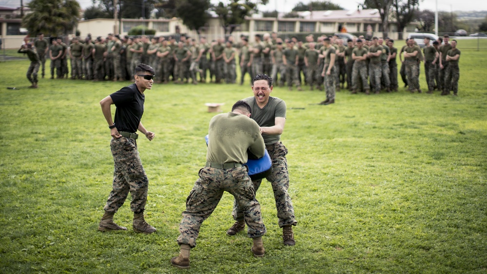 Dvids - Images - 1st Law Enforcement Battalion Hosts Oc Spray Course 