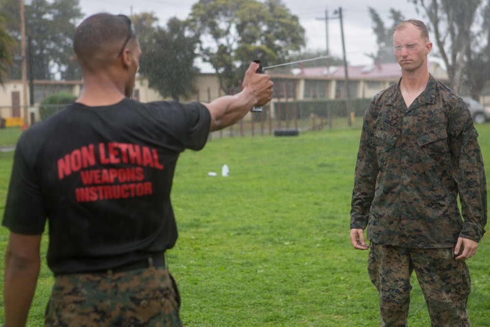 1st Law Enforcement Battalion Hosts OC Spray Course