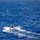 USS Shiloh Small Boat Operations
