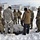 CWOC Class 20-04 students learn to build Arctic tent during training at Fort McCoy