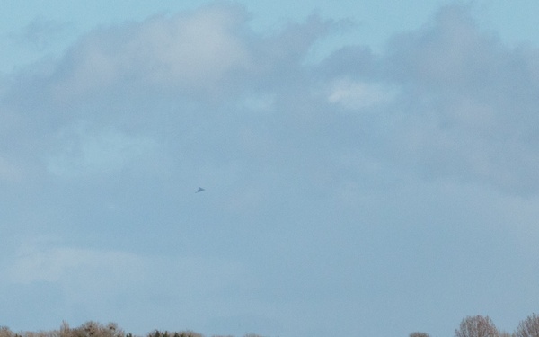 Bomber Task Force Europe 2020