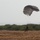 82nd Pararescuemen Perform HALO Jump 82nd Pararescuemen Perform HALO Jump