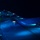 USS America (LHA 6) night operations